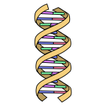 DNA & Genetic Genealogy